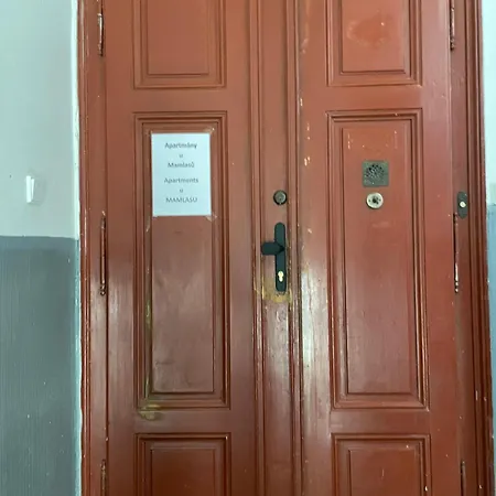 U Mamlasu Apartment Brno