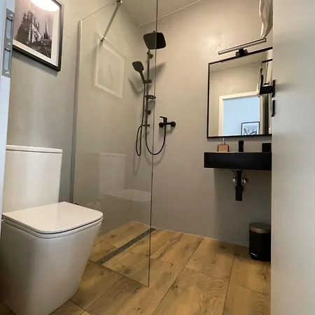 U Mamlasu Appartement Brno