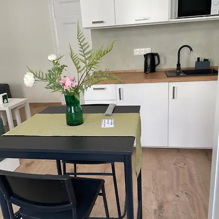 Apartment U Mamlasu Brno