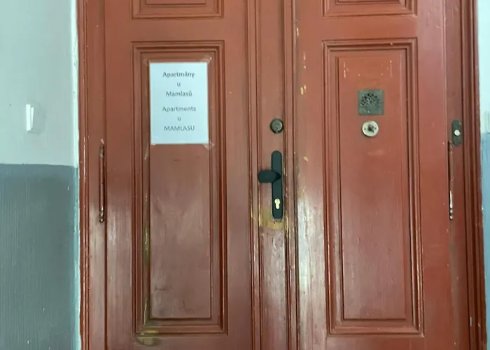 U Mamlasu Apartment Brno