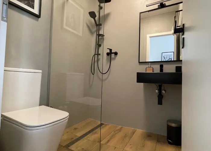 U Mamlasu Apartment Brno