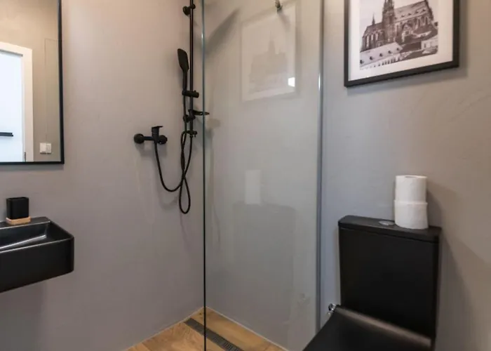 U Mamlasu Apartment Brno