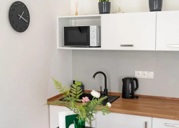 Apartment U Mamlasu Brno