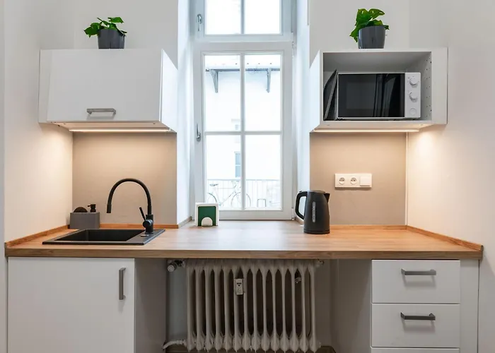 U Mamlasu Apartment Brno